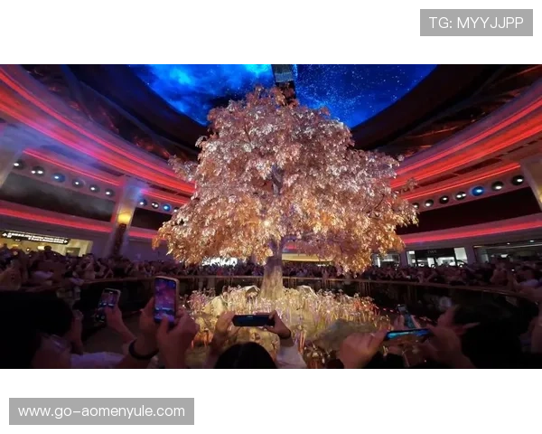 澳门永利皇宫发财树的室内摆放技巧与风水布局指南 澳门永利皇宫发财树的室内摆放技巧与风水布局指南