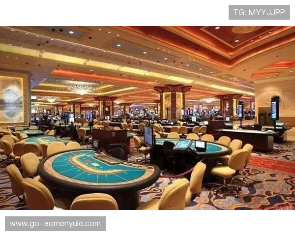 全面解析澳门百家乐赌场排名前十名，揭秘这些赌场的特色与优势