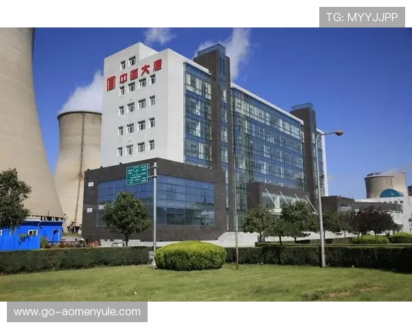 大阳城集团官网介绍公司历史品牌故事与未来愿景