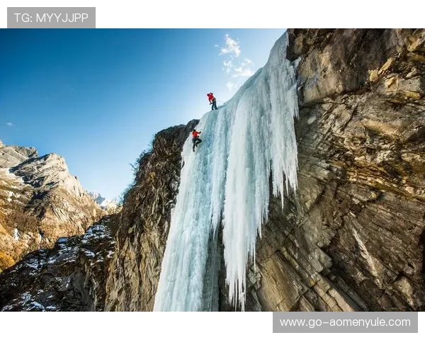 掌握ku真人会员登录技巧，确保每次登录都高效顺畅无阻攀登会员极限
